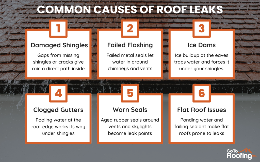 Common Causes of Roof Leaks infographic