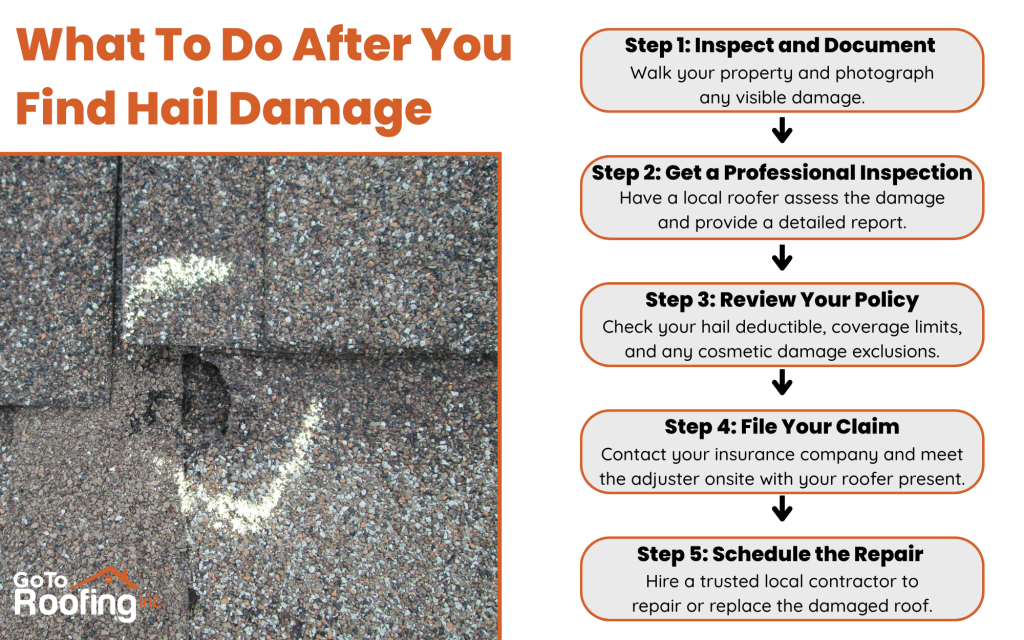 What To Do After You Find Hail Damage infographic